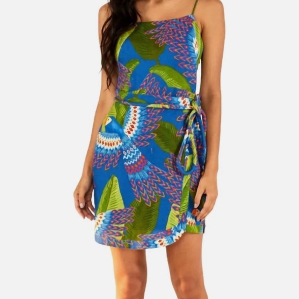 Farm Rio Blue Macaw Mini Dress Size Small